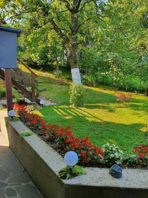 Casa Mea De Vacanta Baia Sprie Exterior foto