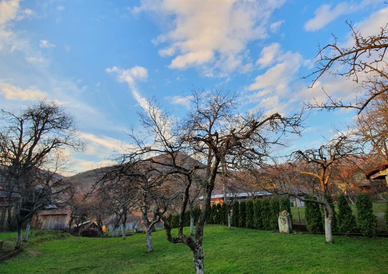 Casa Mea De Vacanta Baia Sprie Exterior foto