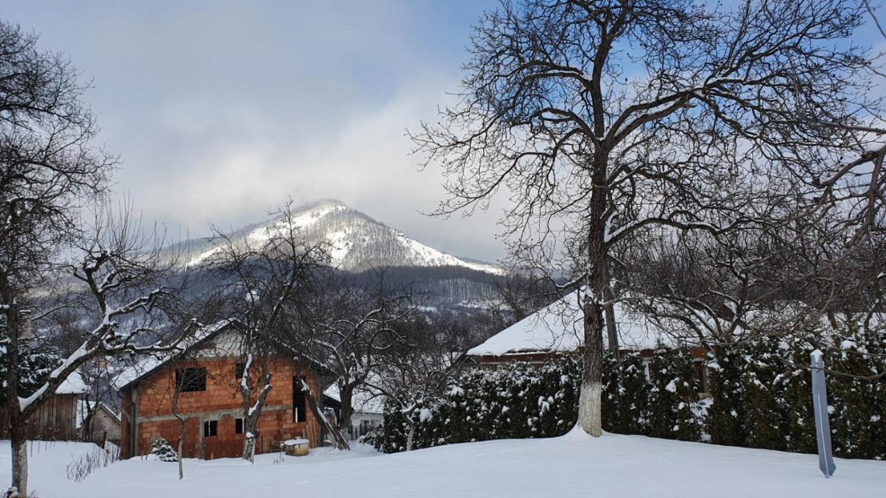 Casa Mea De Vacanta Baia Sprie Exterior foto
